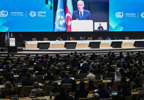 COP29 recap: key achievements
